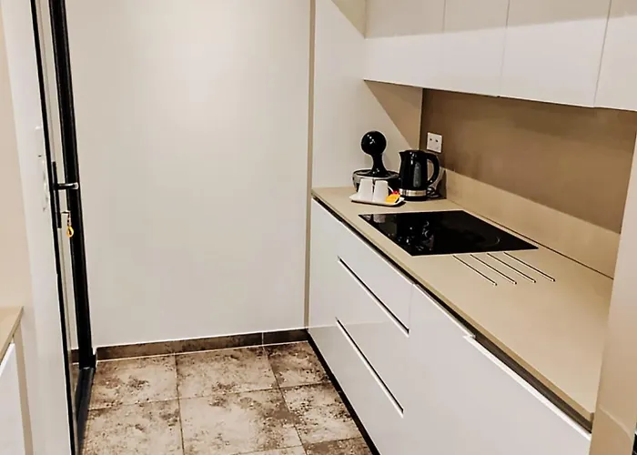 Grande Moderne Villa Moyrazes